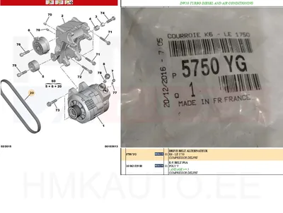 Mitmikkiilrihm 6PK1750 OEM Citroen/Peugeot - PSA  5750YG - OE - 100% Genuine Part