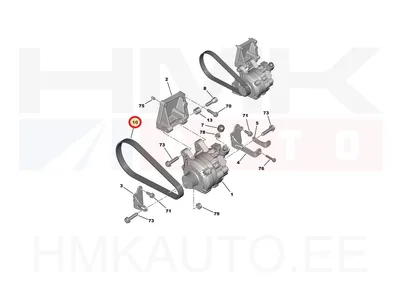 Mitmikkiilrihm 6PK728 OEM Citroen/Peugeot - PSA  5750WN - OE - 100% Genuine Part