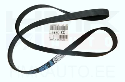 Mitmikkiilrihm 6PK1887 OEM Citroen/Peugeot - PSA  5750XC - OE - 100% Genuine Part