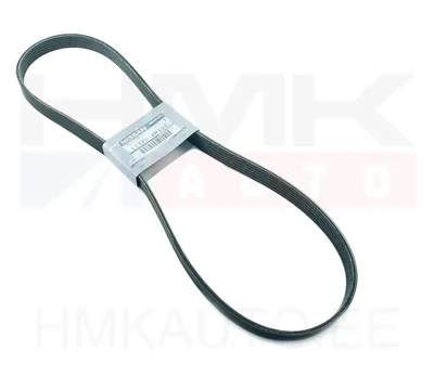Mitmikkiilrihm 6PK1175 OEM Nissan - NIS  117204P102 - OE - 100% Genuine Part