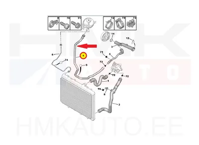 Jahutusvedeliku lõdvik OEM Citroen/Peugeot - PSA  1317V7 - OE - 100% Genuine Part