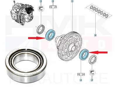 Käigukasti laager (diferentsiaal) 38X65X20 OEM Renault - REN  384433332R - OE - 100% Genuine Part