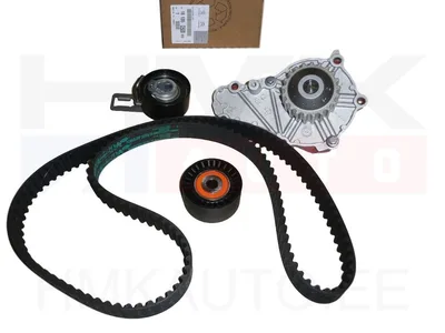 Hammasrihma komplekt koos veepumbaga OEM Citroen/Peugeot 1,4HDi 50kw - PSA  1613562080 - OE - 100% Genuine Part