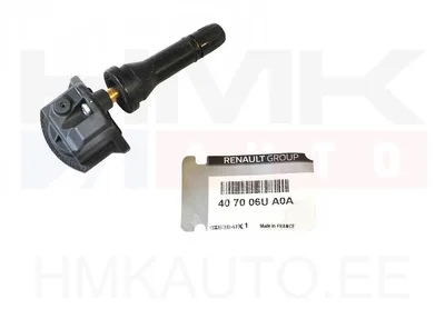 Rehvirõhu andur OEM Renault - REN  407006UA0A - OE - 100% Genuine Part