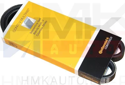 Mitmikkiilrihm 4PK785 - 4PK785-CON - Contitech