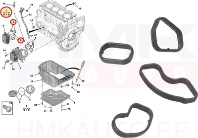 Õlijahuti tihendikomplekt OEM Citroen/Peugeot/Fiat 1,5BlueHDI DV5R - PSA  9814294680 - OE - 100% Genuine Part