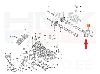 Kütusepumba hammasratas nukkvõllile OEM Renault Master 2,3DCi 2014- - REN  130245636R - OE - 100% Genuine Part