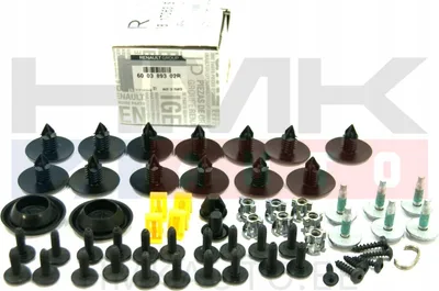 Esistange paigalduskomplekt OEM Renault Master III 2010- - REN  600389302R - OE - 100% Genuine Part