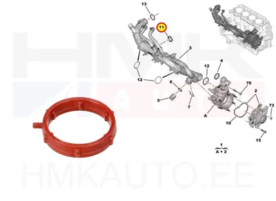 O-rõngastihend jahutusvedeliku torule OEM Citroen/Peugeot 1,5BlueHDI DV5R - PSA  9813216680 - OE - 100% Genuine Part