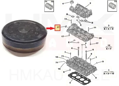 Nukkvõlli kork 28x8 OEM Citroen/Peugeot 1,5BlueHDI DV5R - PSA  1673628380 - OE - 100% Genuine Part