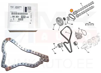 Nukkvõlli kett OEM Citroen/Peugeot 1,5BlueHDI (8mm) - PSA  9830146880 - OE - 100% Genuine Part