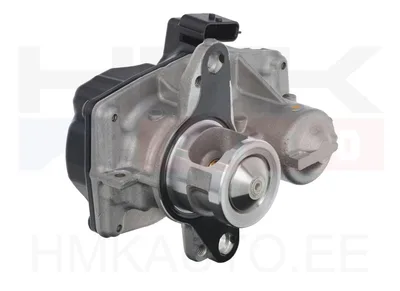 EGR klapp Renault/Nissan/Opel/Mercedes-Benz 1,6DCI - VAL-700449 - Valeo