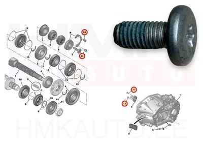 Polt M8x1,25-L17 OEM Peugeot/Citroen/Fiat - PSA  231455 - OE - 100% Genuine Part
