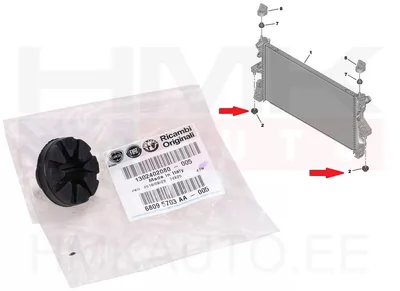 Jahutusradiaatori fikseerimispuks OEM Jumper/Boxer/Ducato - FIAT  1302402080 - OE - 100% Genuine Part