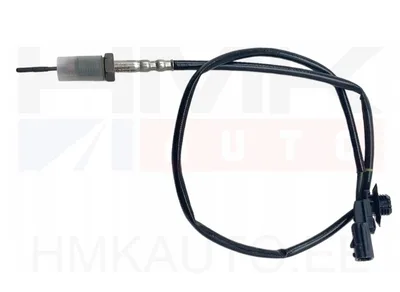Väljalaskegaaside temperatuuri andur OEM Renault Trafic III 1,6DCI - REN  226409314R/L - OEM (no box)