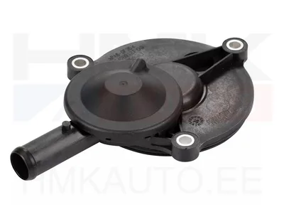Karterituulutuse filtri kaas Jumper/Boxer/Ducato 3,0HDI 2006- - 2640008AG - AG Automotive