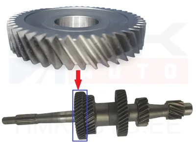 6-käigu hammasratas peavõllile 49H Ø35mm Renault PF6 k.kast  28/49 2019- - 9700259