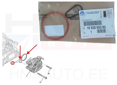 Vaakumpumba tihendikomplekt OEM Citroen/Peugeot - PSA  1692660380 - OE - 100% Genuine Part