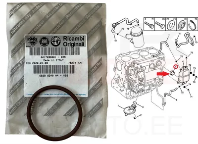 Karterituulutuse tihend OEM Jumper/Boxer/Ducato/Daily 2,8 00- - FIAT  17289681 - OE - 100% Genuine Part