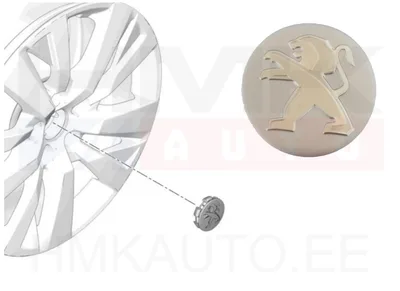 Valuvelje kapsel OEM Peugeot 308,3008,5008,Partner - PSA  96725584TW - OE - 100% Genuine Part