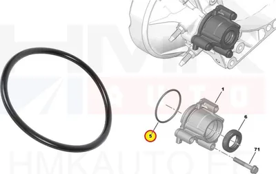 Käigukasti tihend (O-rõngas) OEM Citroen/Peugeot/Fiat  (BE4R käigukast) 60x3 - FIAT  9626069580 - OE - 100% Genuine Part