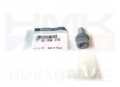 Sidurikorvi kinnituspolt M8x1,25-L19 (1tk.) OEM Renault - REN  7703006379 - OE - 100% Genuine Part