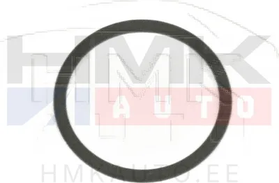 Kütuserõhu regulaatori tihend Citroen/Peugeot HDI 17,6x1 - F00VD38010 - Bosch