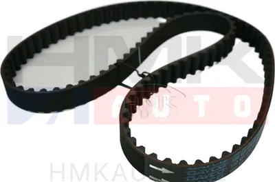 Hammasrihm Peugeot 206 1,0 16v / Renault Clio, Modus, Twingo 1,0-1,2 16v - DAY  94910 - Dayco
