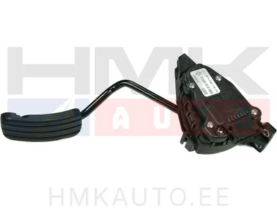 Elektriline gaasipedaal OEM Renault Trafic II/Opel Vivaro/Nissan Primastar - REN  7700313060 - OE - 100% Genuine Part