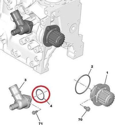 Jahutusvedeliku flantsi tihend OEM Citroen/Peugeot - PSA  120698 - OE - 100% Genuine Part