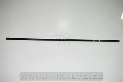 Torsioonvarras (stabilisaator) tagumine Berlingo/Partner/Xsara Picasso  19mm - G119 - Expert Line