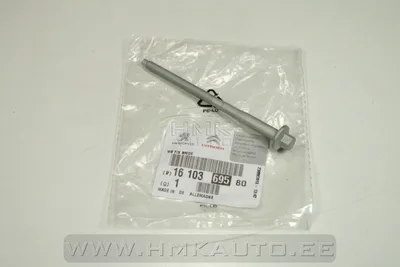 Pihusti kinnituspolt OEM Jumper/Boxer/Ducato 2,2HDI 2006- Euro4 - PSA  1610369580 - OE - 100% Genuine Part