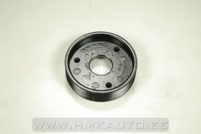 Roolivõimendi pumba rihmaratas Renault Clio II/ Kangoo 1,9DCI - AD1743